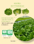 안산팜 영농조합법인