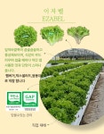 안산팜 영농조합법인