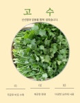 안산팜 영농조합법인