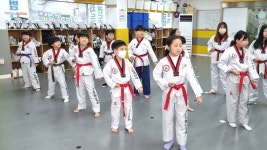 한국체대마스터한태권도