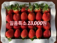 일품토경딸기