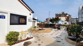 키코1983 노크인노크아웃