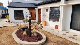 키코1983 노크인노크아웃