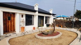 키코1983 노크인노크아웃