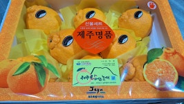 VIP한라봉농장