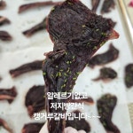 여니네펫공방