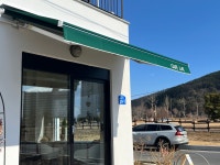 카페느티