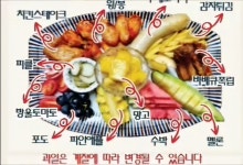 부라보맥주 여수죽림점