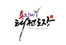 용인대태권도