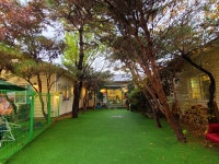 개떼놀이터 남양주 애견운동장 강아지놀이터 펫 반려견