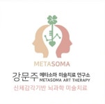 메타소마