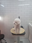 오늘THE이쁘개