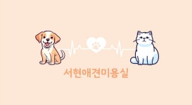 서현애견미용실