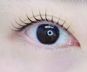 마젤또와브로우