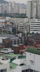 참사랑교회