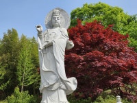 반야사