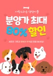천안 강아지분양 고양이분양 파라다이스펫본점