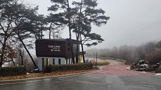 카페루테아 사진