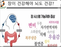 셀포랩 스타