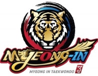 다산태권도 명인태권도장