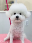 단비네펫살롱