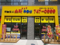 하늘도시스타부동산공인중개사사무소