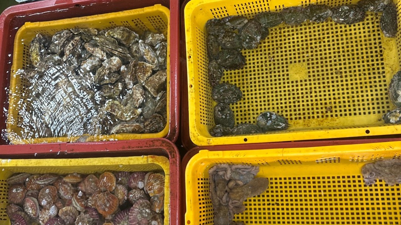 창마을수산