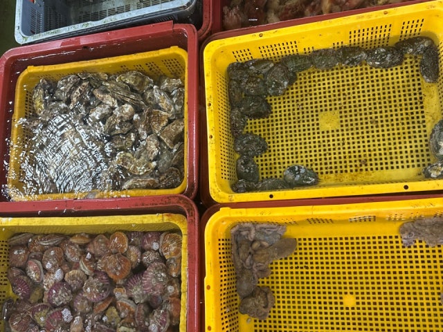 창마을수산