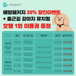 디테일 동물의료센터