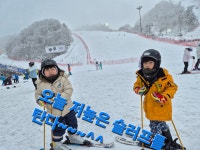 다산태권도 명인태권도장