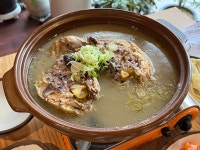 청송 능이 삼계탕