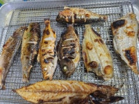 함가네 생선구이