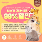 로얄펫 강아지분양 고양이분양 전주점