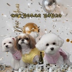 개이뻐애견미용실