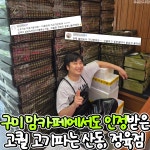 다온가온