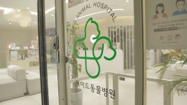 에이드동물병원