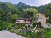 덕산기의아침펜션