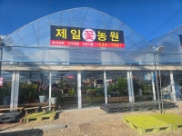 제일꽃농원