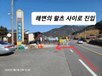 솔정장어