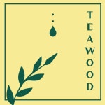 티우드 스튜디오