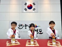 한양대태권도장