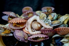 석이네조개찜이랑칼국수