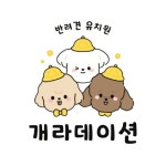 개라데이션 애견유치원