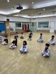 용인대석사 왕호태권도