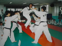연세태무태권도체육관