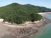 푸르다산림조경