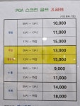 피지에이스크린골프