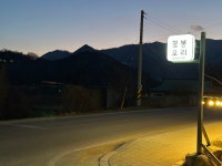 꽃봉오리