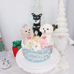 댕파티셰