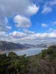 전망대매화농원